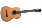 ALVARO 250 КЛАССИЧЕСКАЯ ГИТАРА