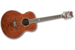 DAISY ROCK BUTTERFLY JUMBO BUBINGA