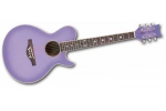 DAISY ROCK WILDWOOD ACOUSTIC PURPLE DAZE