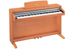 KORG C520CH