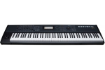 KURZWEIL PC3X