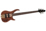 PEAVEY CIRRUS 5 REDWOOD