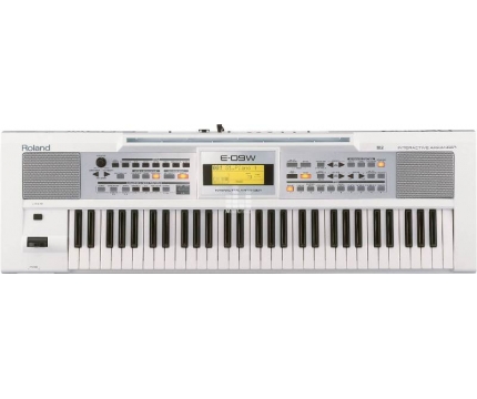 ROLAND E-09W