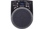ROLAND HPD-20