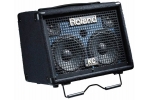 ROLAND KC-110