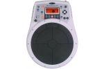 ROLAND HPD-10