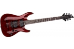 SCHECTER DAMIEN SPECIAL